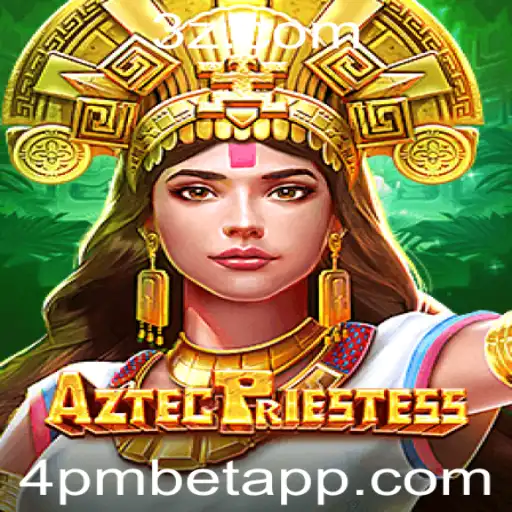 4pm bet Casino App
